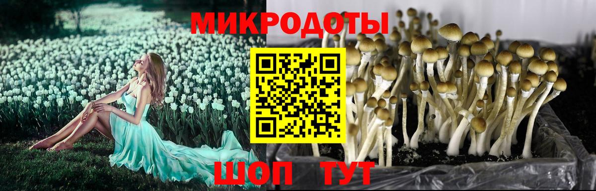 Псилоцибиновые грибы мицелий  дарнет шоп  Химки  Вход с VPN 